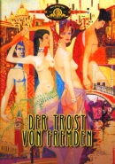 der_trost_von_fremden_cover