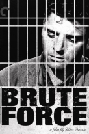 brute_force_cover